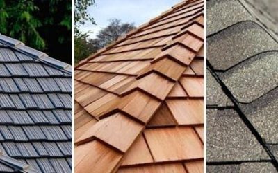 The Shingle Best Decision