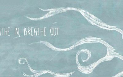 Metal Roofs and Attic Ventilation: Let Your Home Breathe