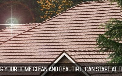 Metal Roofing is Clean Roofing for Your Wisconsin Home