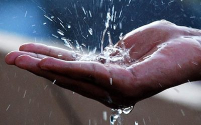 Your Wisconsin Home: Water and Its Trouble Makers