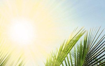 The Right Roof Can Pay You Back With Energy Efficiency