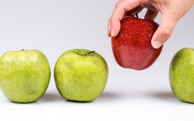 Choosing a Metal Roofing Supplier