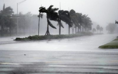 Preparing for Winter: High Winds