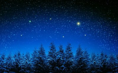 Winter Roof Installation