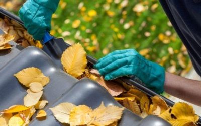 3 Tips on Prepping Your Home for the Summer